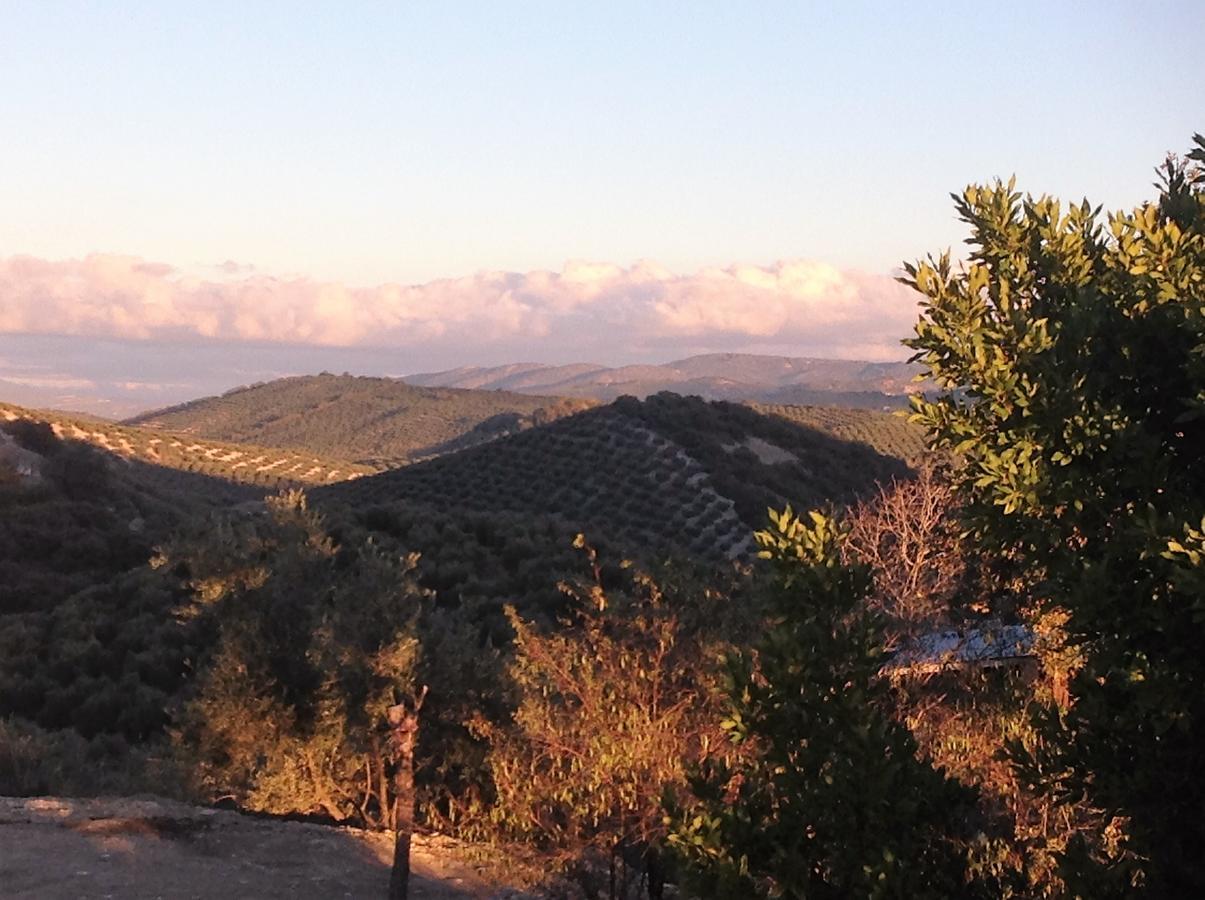 Lojilla Cortijo Berruguilla 빌라 외부 사진